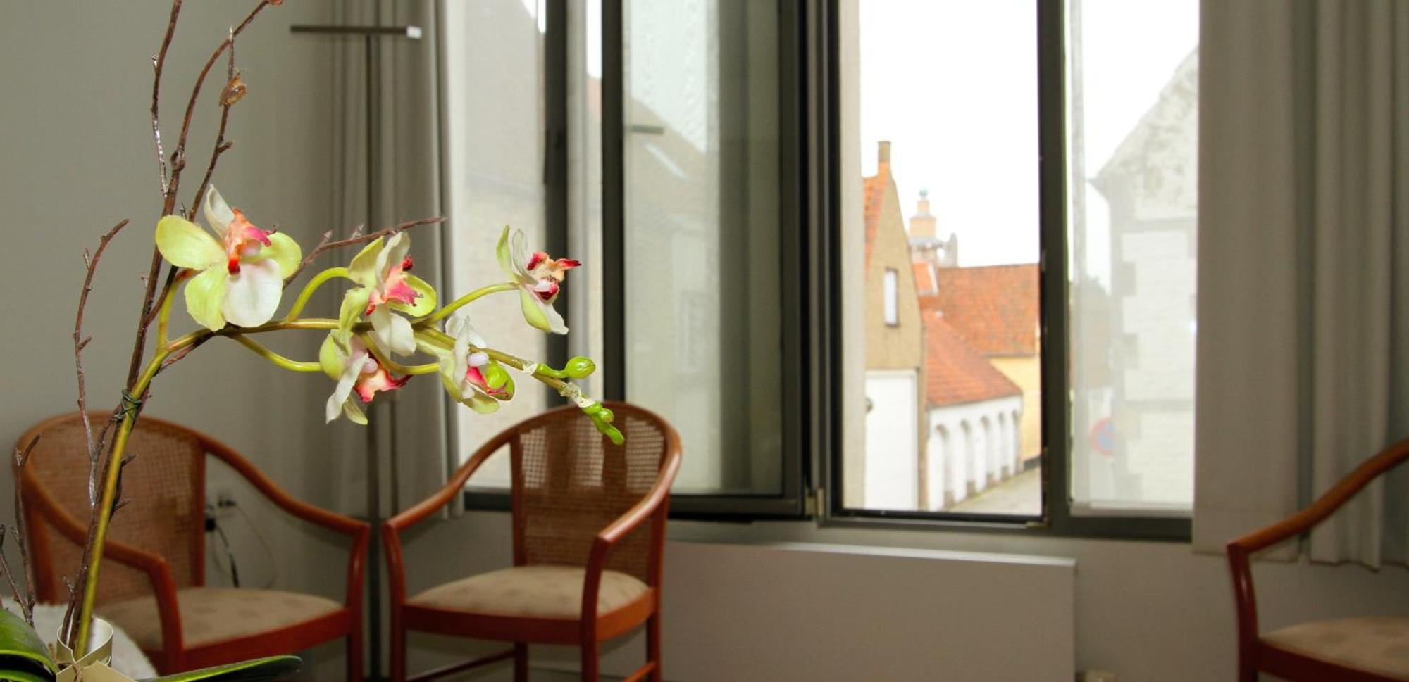 B&B 'T Walleke Brugge Ngoại thất bức ảnh